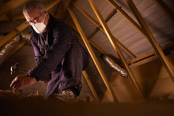 Professional Insulation Contractor in Duquesne, PA